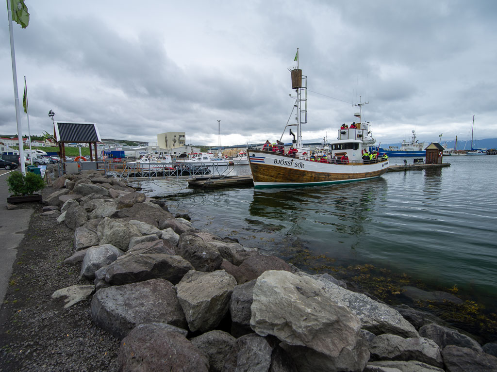 Pentax 645D / 5 Pentax 645D   5