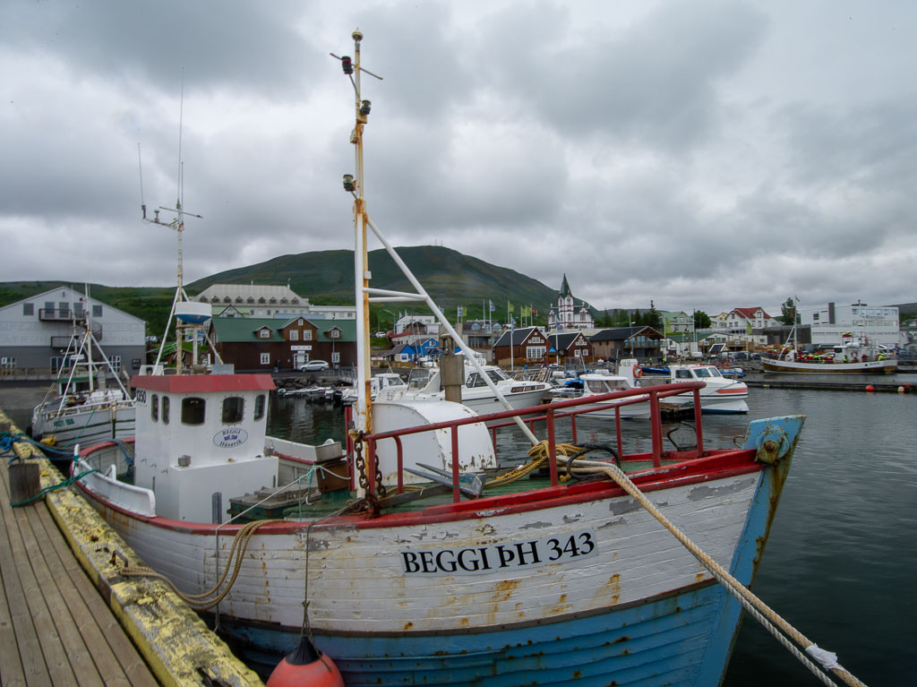 Pentax 645D / 5 Pentax 645D   5