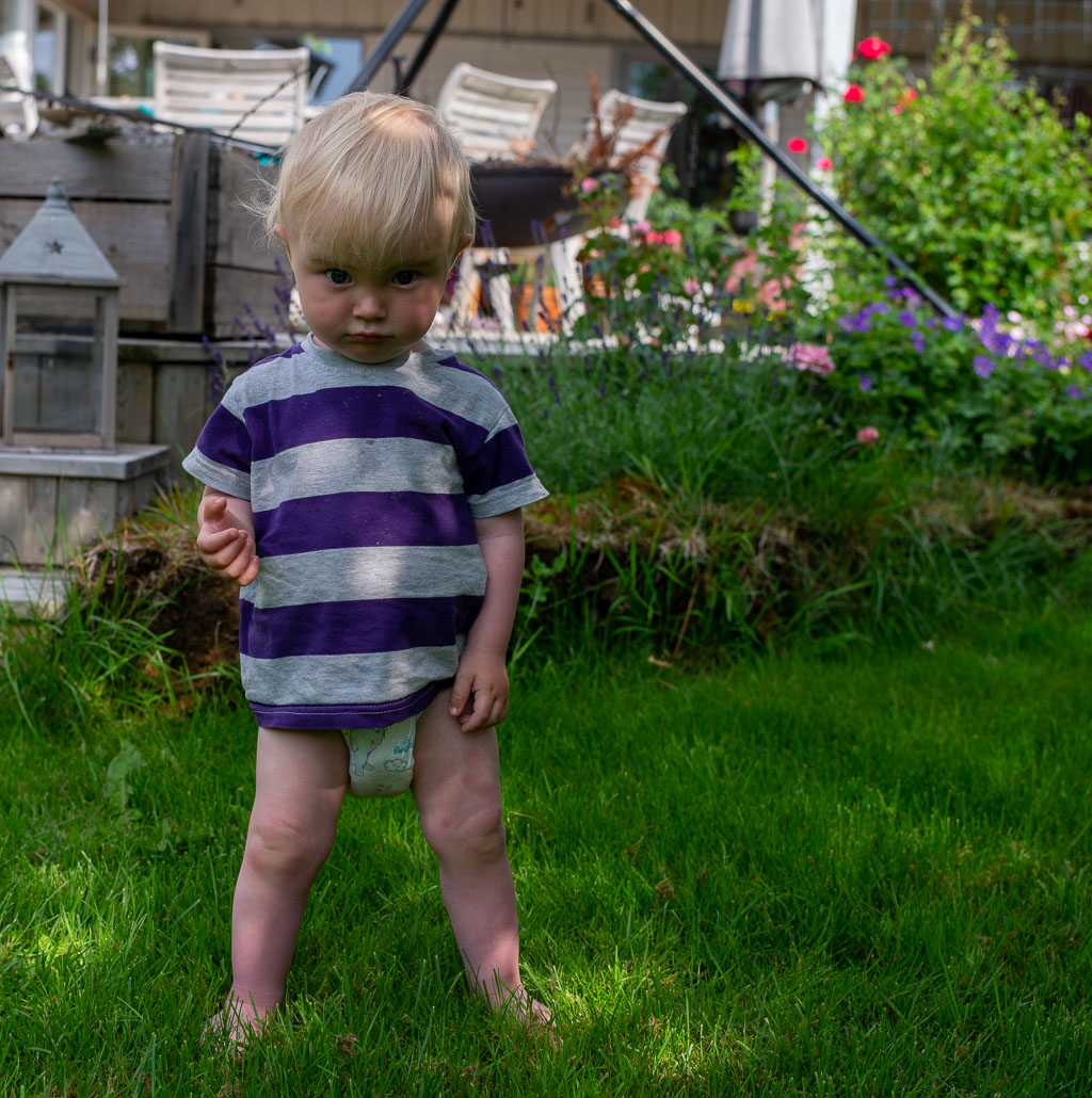 Pentax 645D / 14 Pentax 645D   14