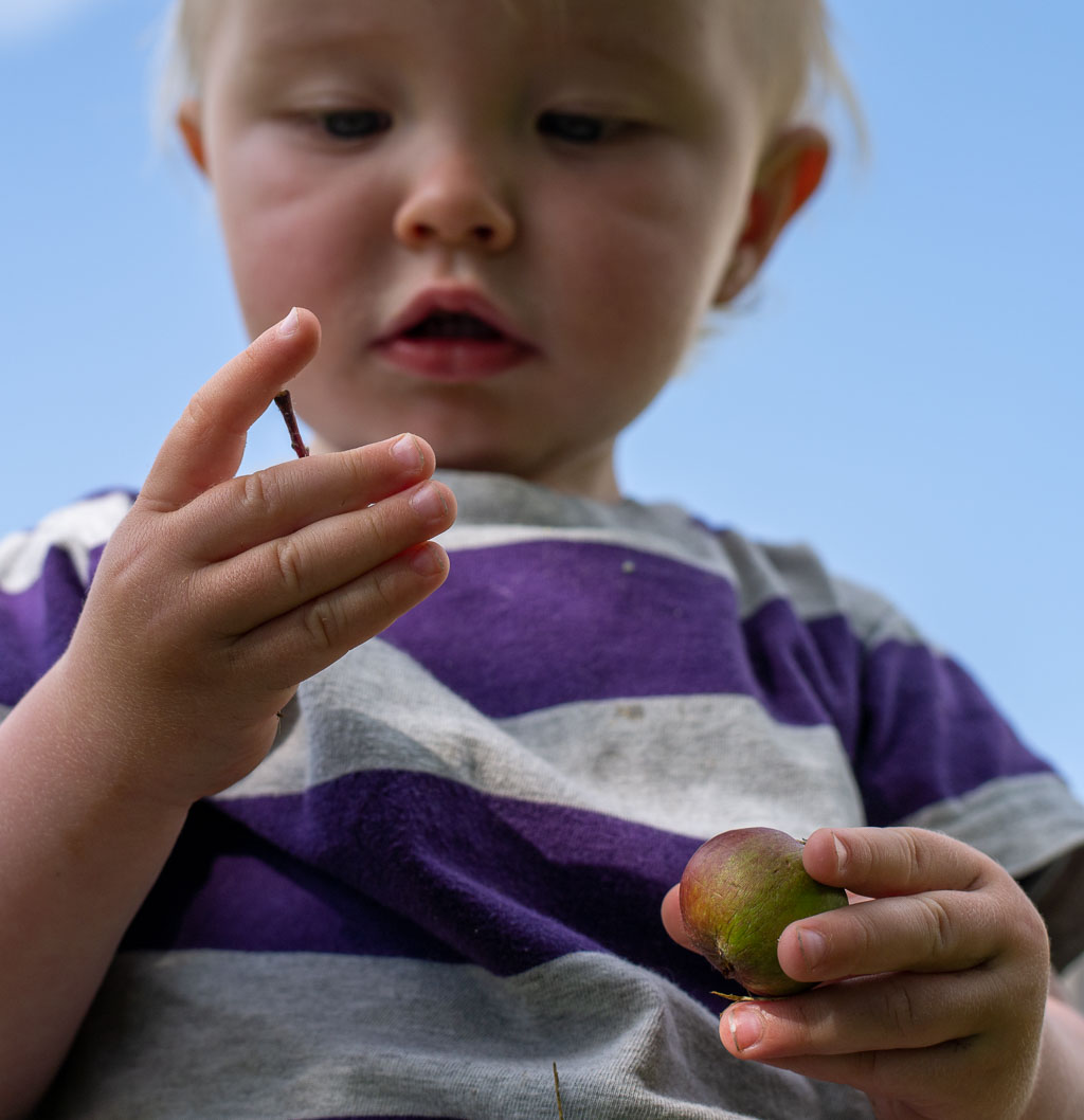 Pentax 645D / 14 Pentax 645D   14