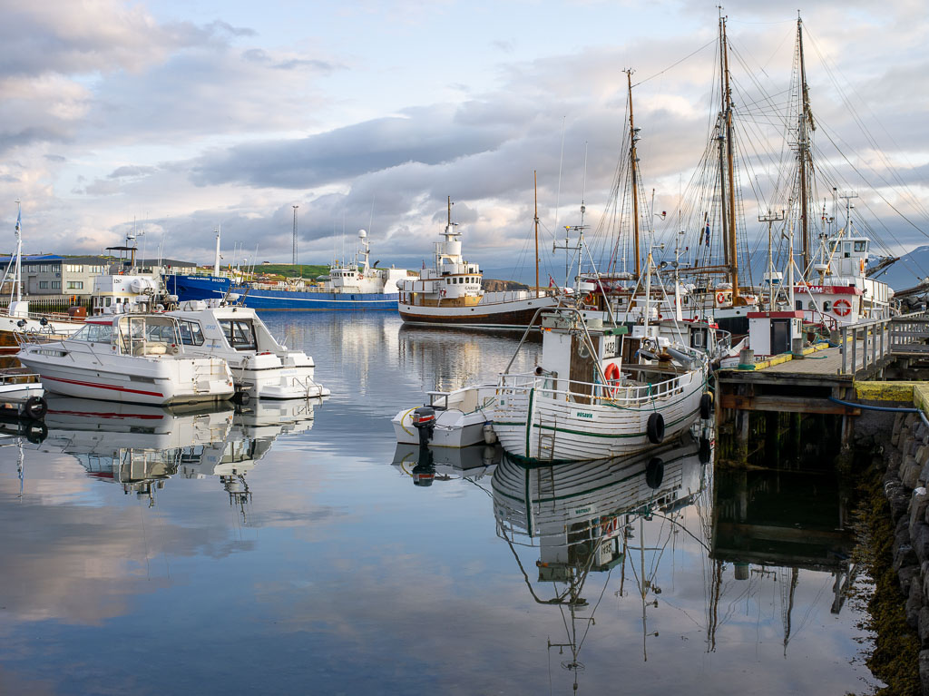 Pentax 645D / 20 Pentax 645D   20