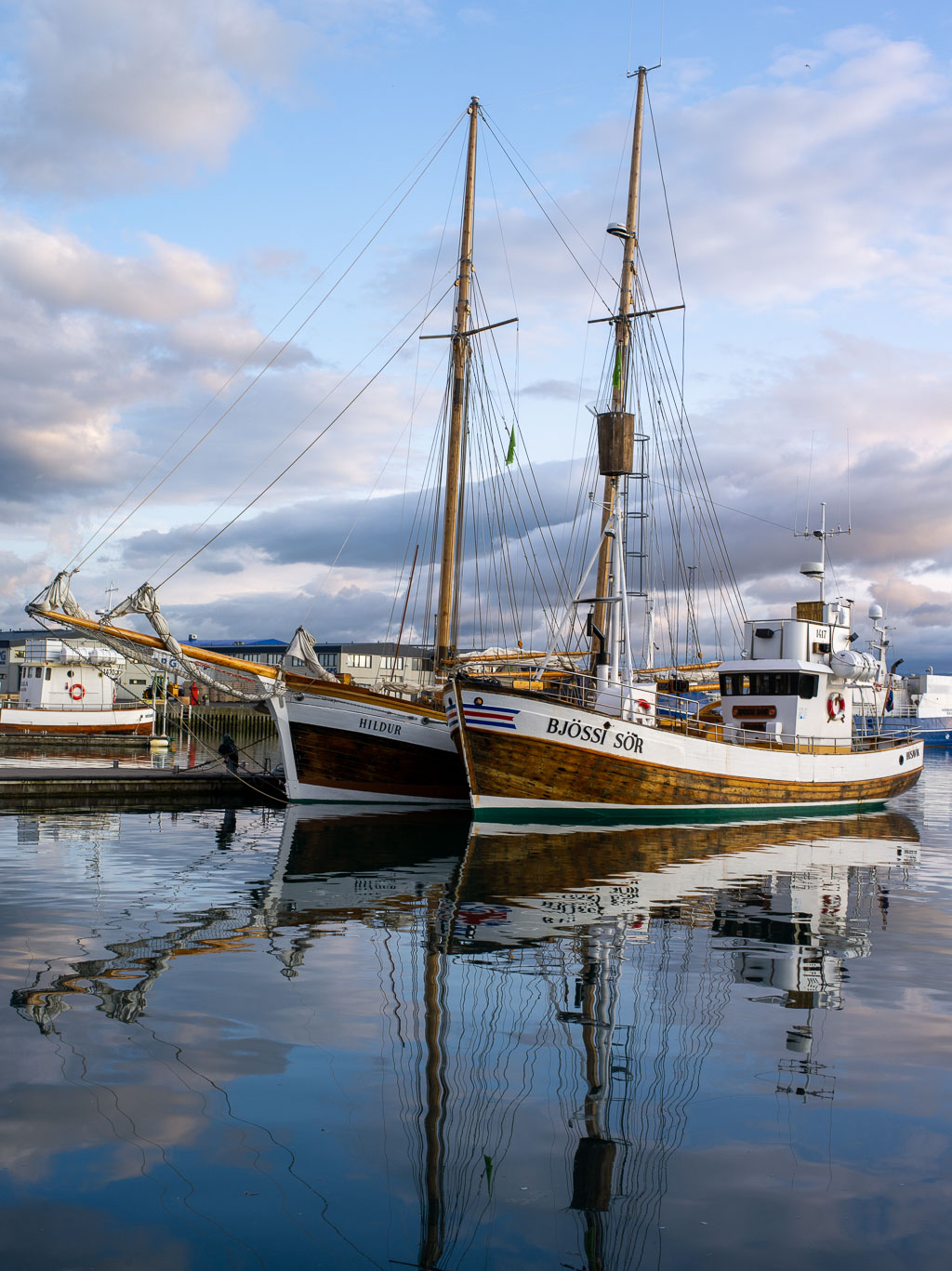 Pentax 645D / 20 Pentax 645D   20