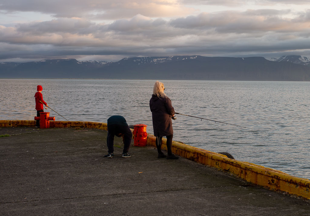 Pentax 645D / 20 Pentax 645D   20