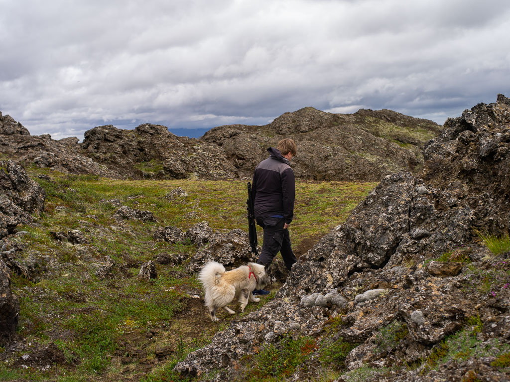 Pentax 645D / 21 Pentax 645D   21