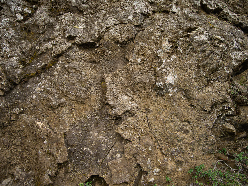 Pentax 645D / 21 Pentax 645D   21