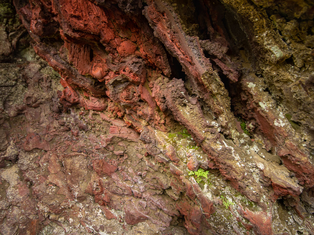 Pentax 645D / 21 Pentax 645D   21