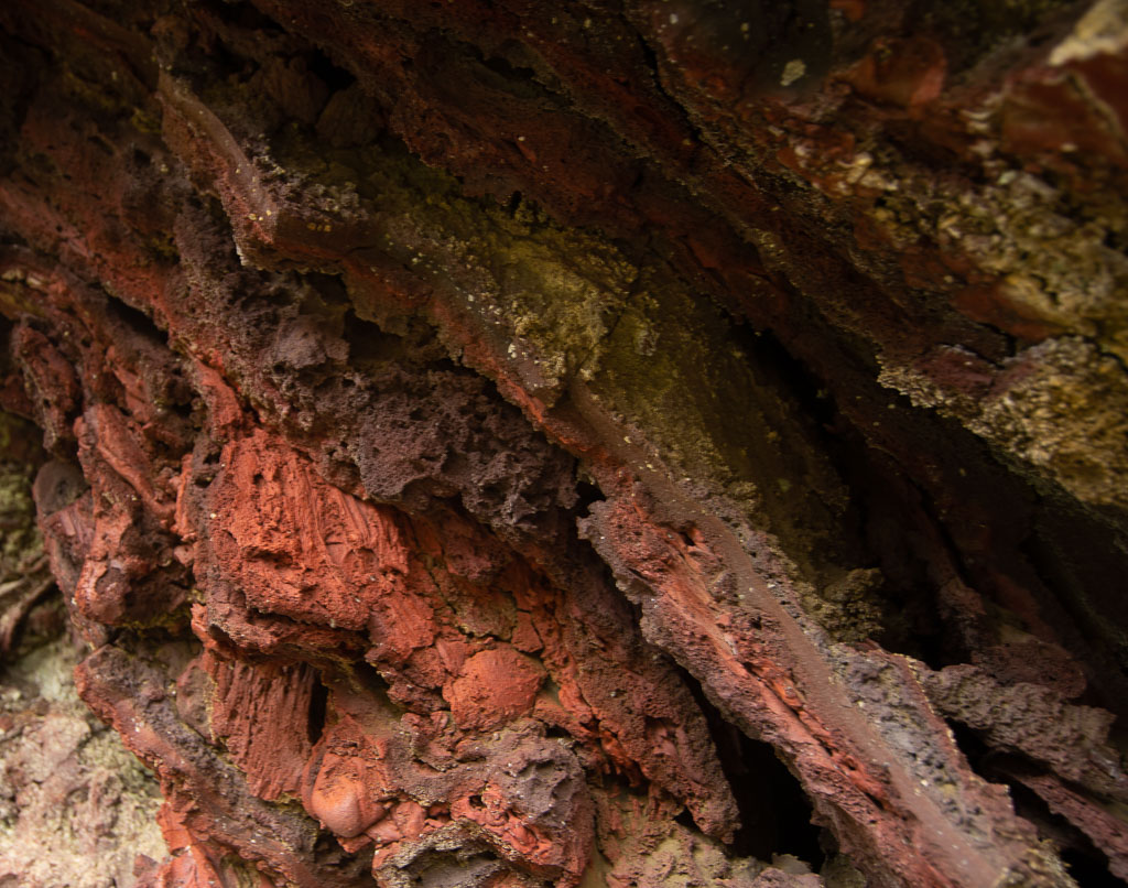 Pentax 645D / 21 Pentax 645D   21