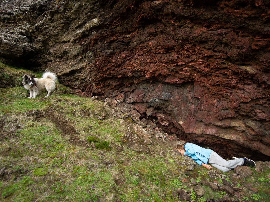 Pentax 645D / 21 Pentax 645D   21