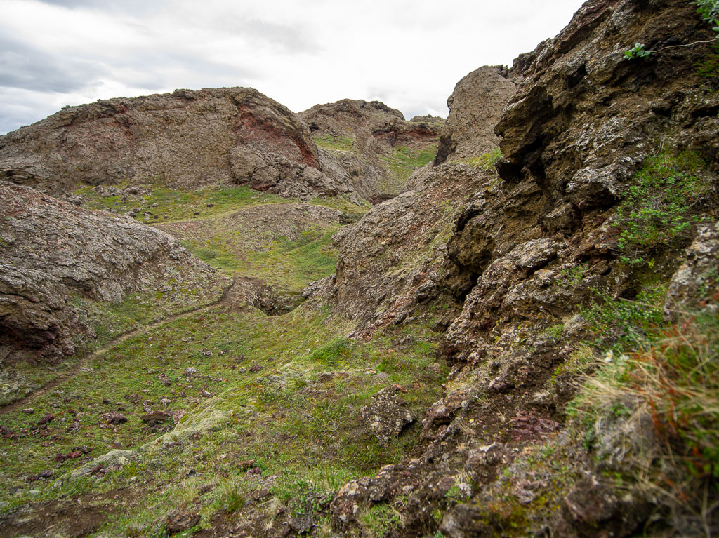 Pentax 645D / 21 Pentax 645D   21