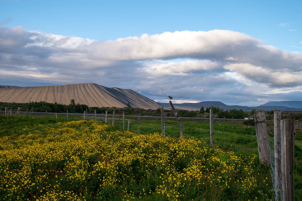 Pentax K-1 / 4 Pentax K-1   4