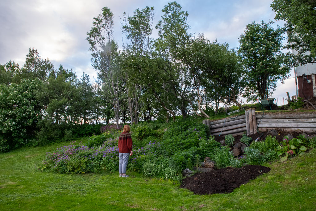 Pentax K-1 / 4 Pentax K-1   4