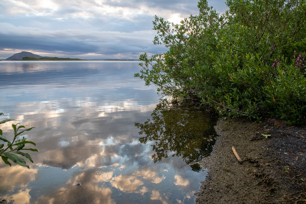 Pentax K-1 / 4 Pentax K-1   4