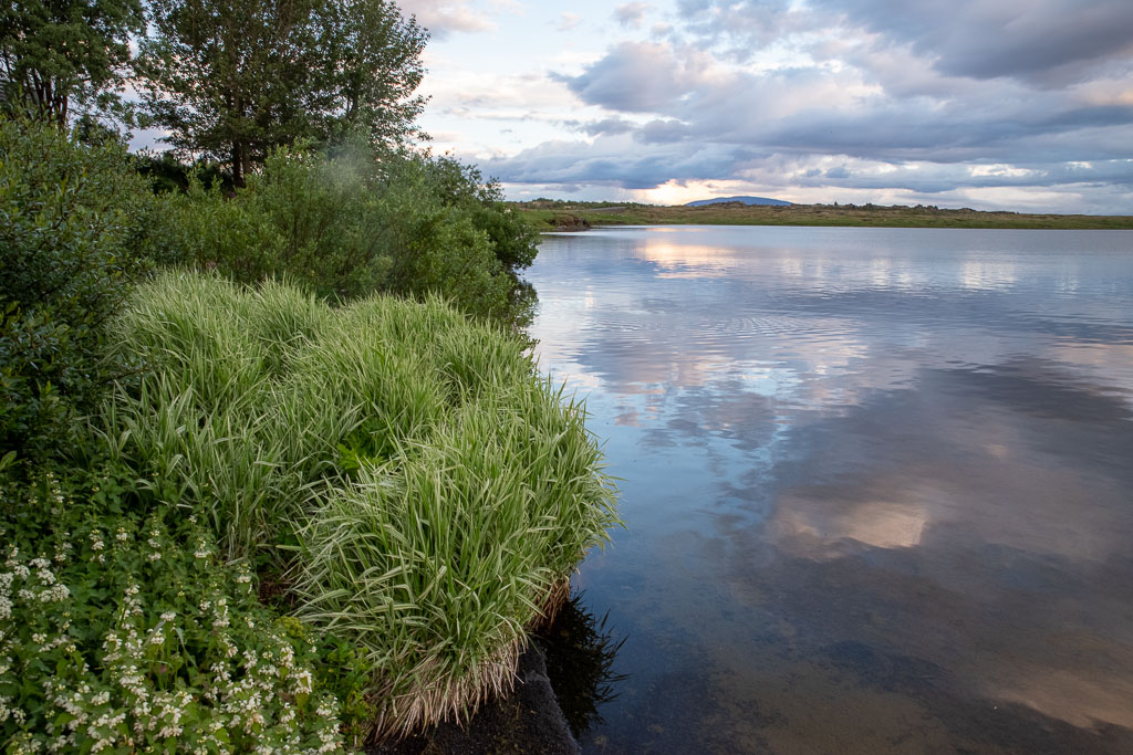 Pentax K-1 / 4 Pentax K-1   4