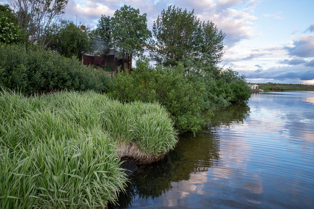 Pentax K-1 / 4 Pentax K-1   4