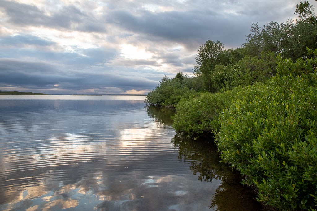 Pentax K-1 / 4 Pentax K-1   4