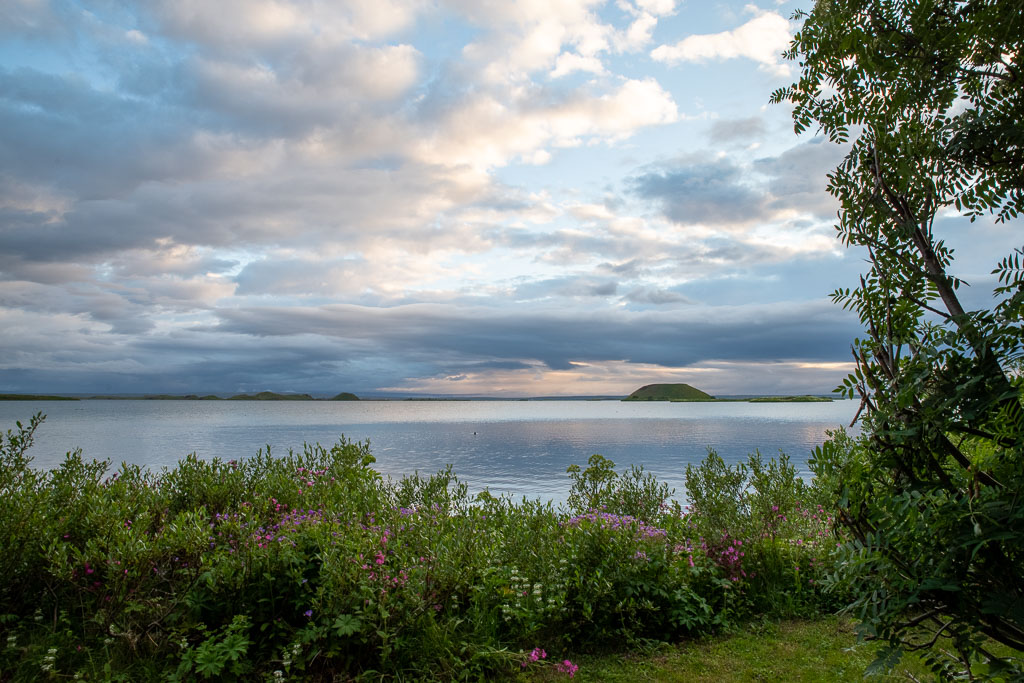 Pentax K-1 / 4 Pentax K-1   4