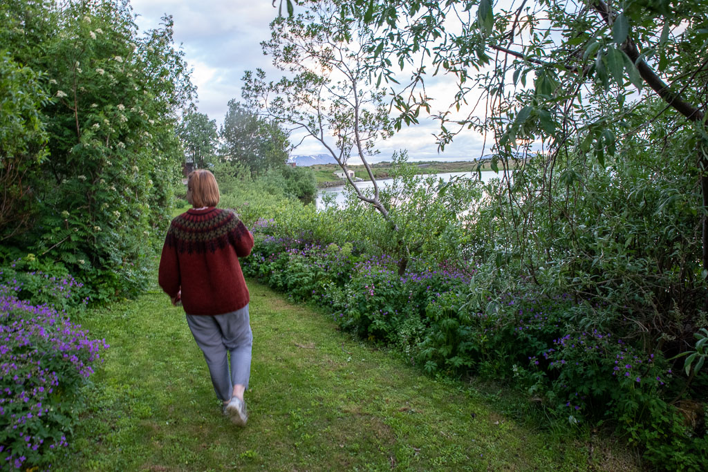 Pentax K-1 / 4 Pentax K-1   4