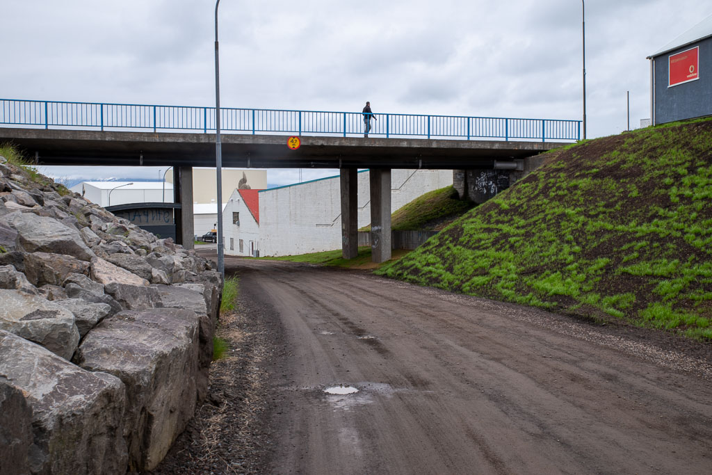 Pentax K-1 / 5 Pentax K-1   5