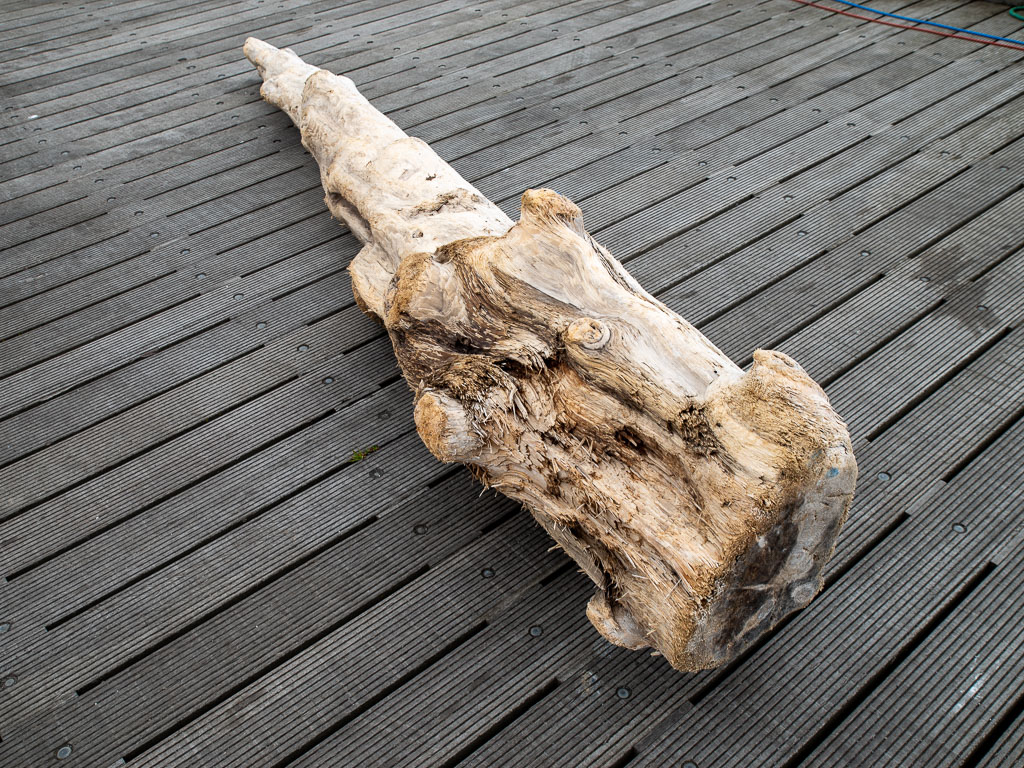 Pentax K-1 / 5 Pentax K-1   5