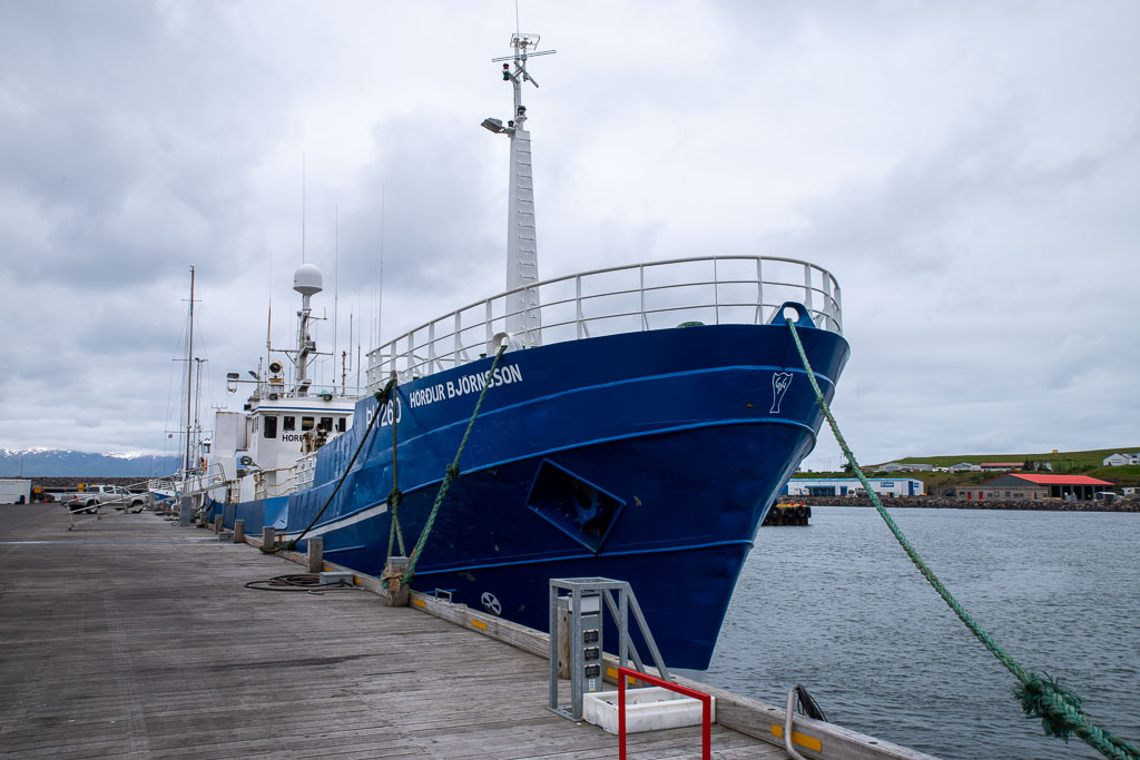 Pentax K-1 / 5 Pentax K-1   5