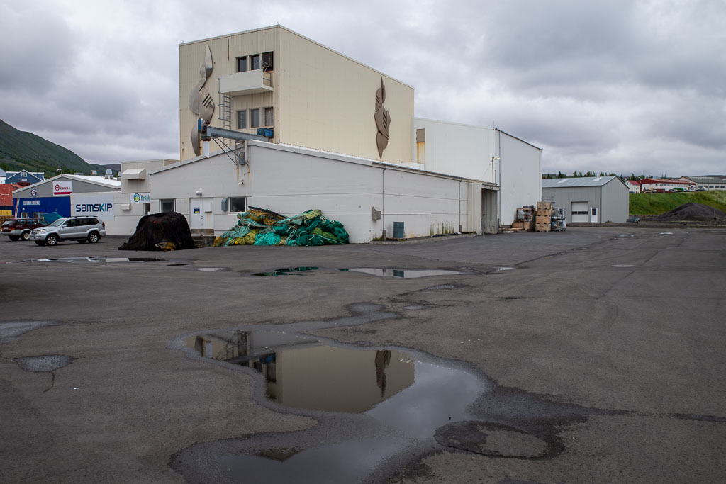 Pentax K-1 / 5 Pentax K-1   5