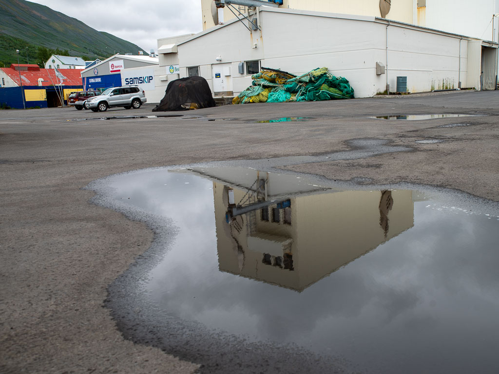 Pentax K-1 / 5 Pentax K-1   5