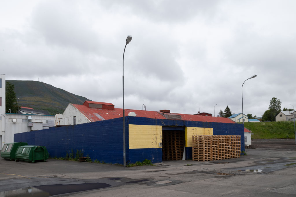 Pentax K-1 / 5 Pentax K-1   5