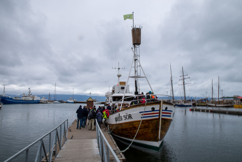 Pentax K-1 / 5 Pentax K-1   5