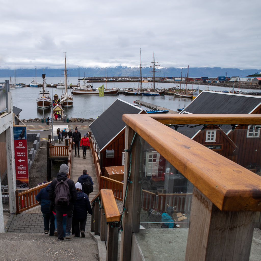 Pentax K-1 / 5 Pentax K-1   5