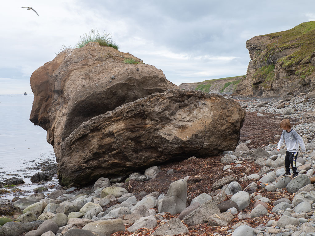 Pentax K-1 / 16 Pentax K-1   16