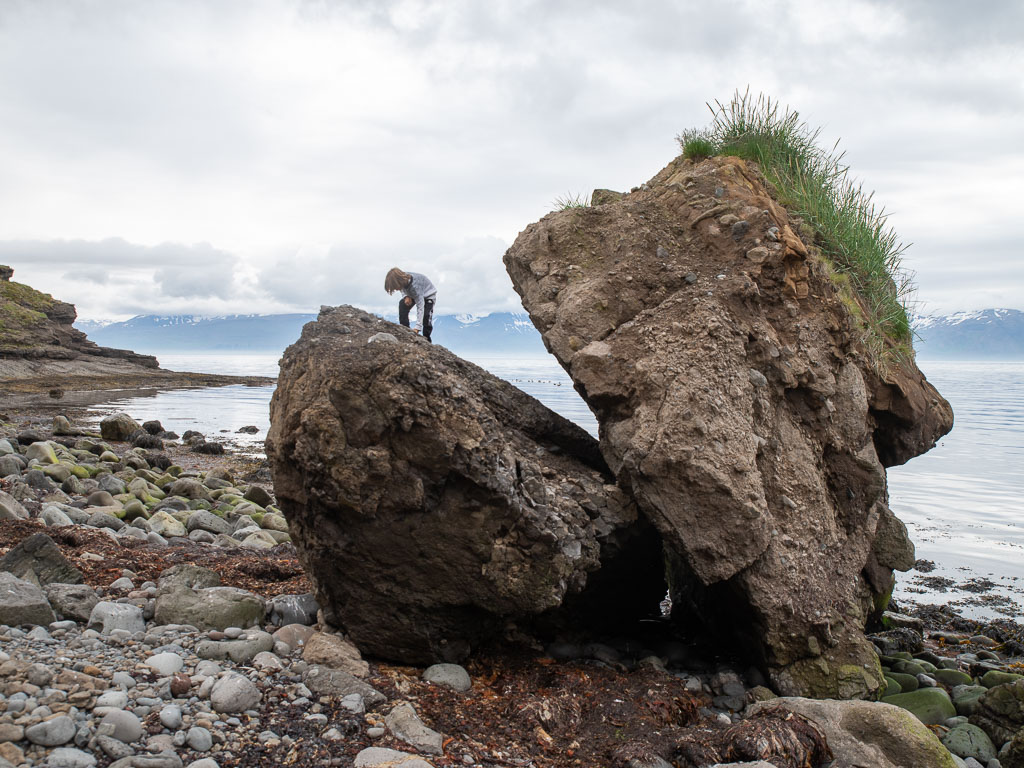 Pentax K-1 / 16 Pentax K-1   16