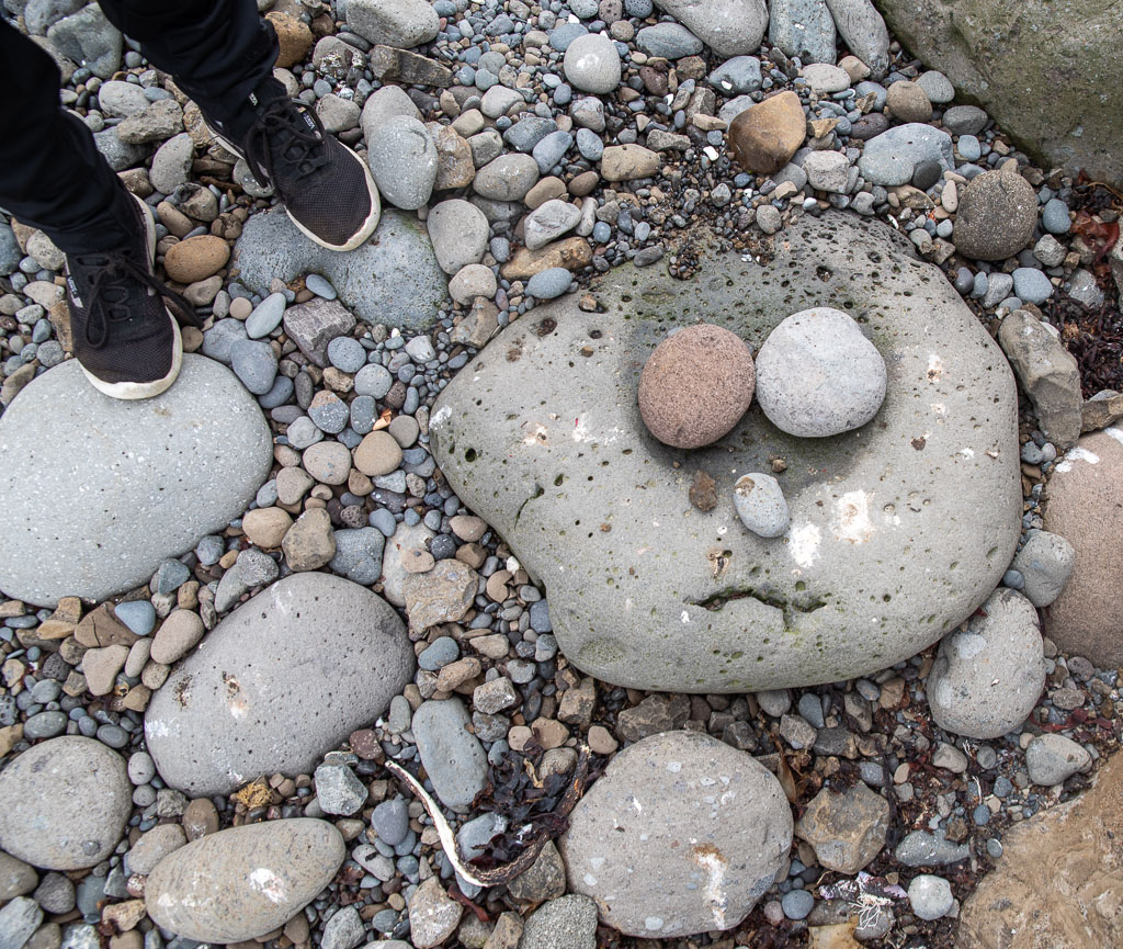 Pentax K-1 / 16 Pentax K-1   16