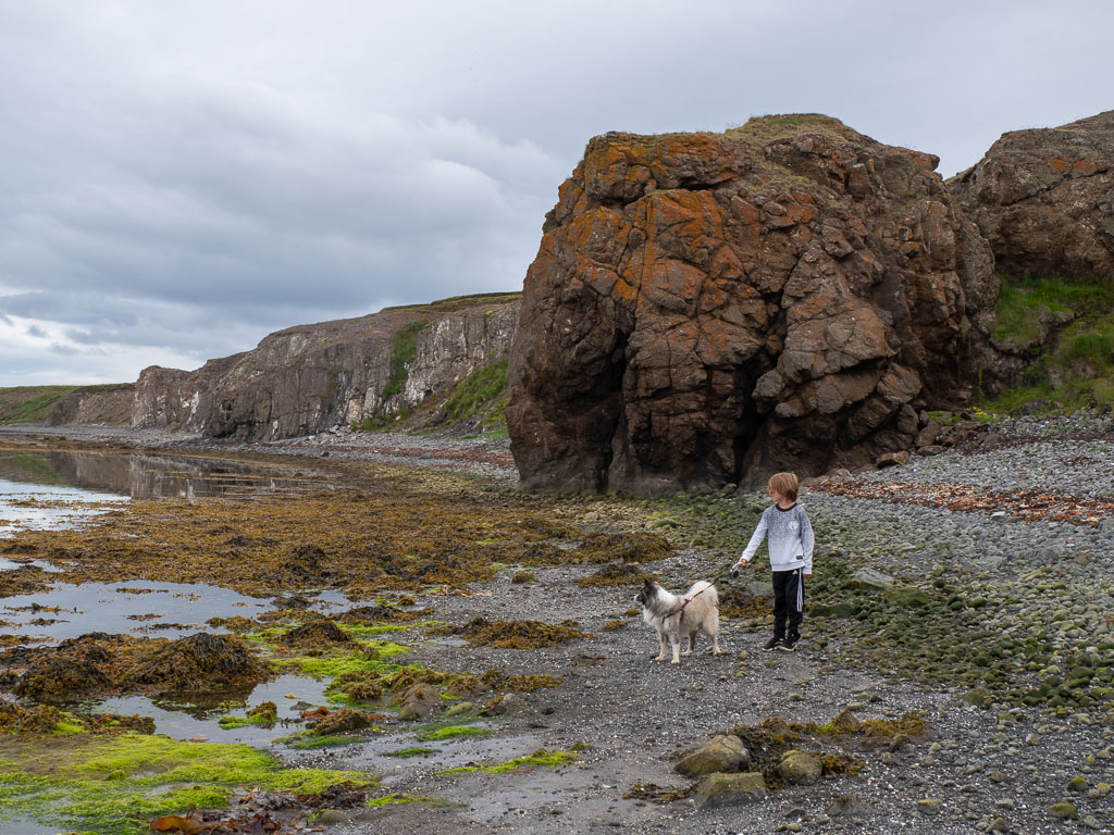 Pentax K-1 / 16 Pentax K-1   16
