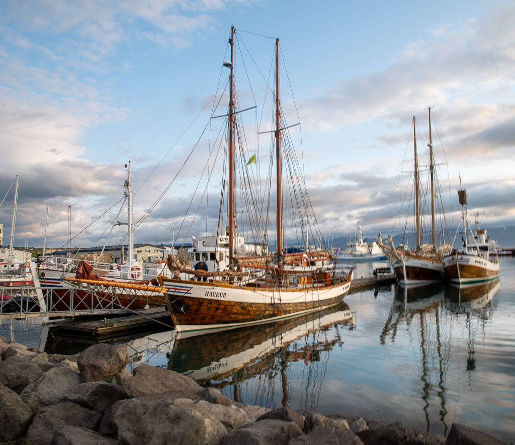 Pentax K-1 / 20 Pentax K-1   20