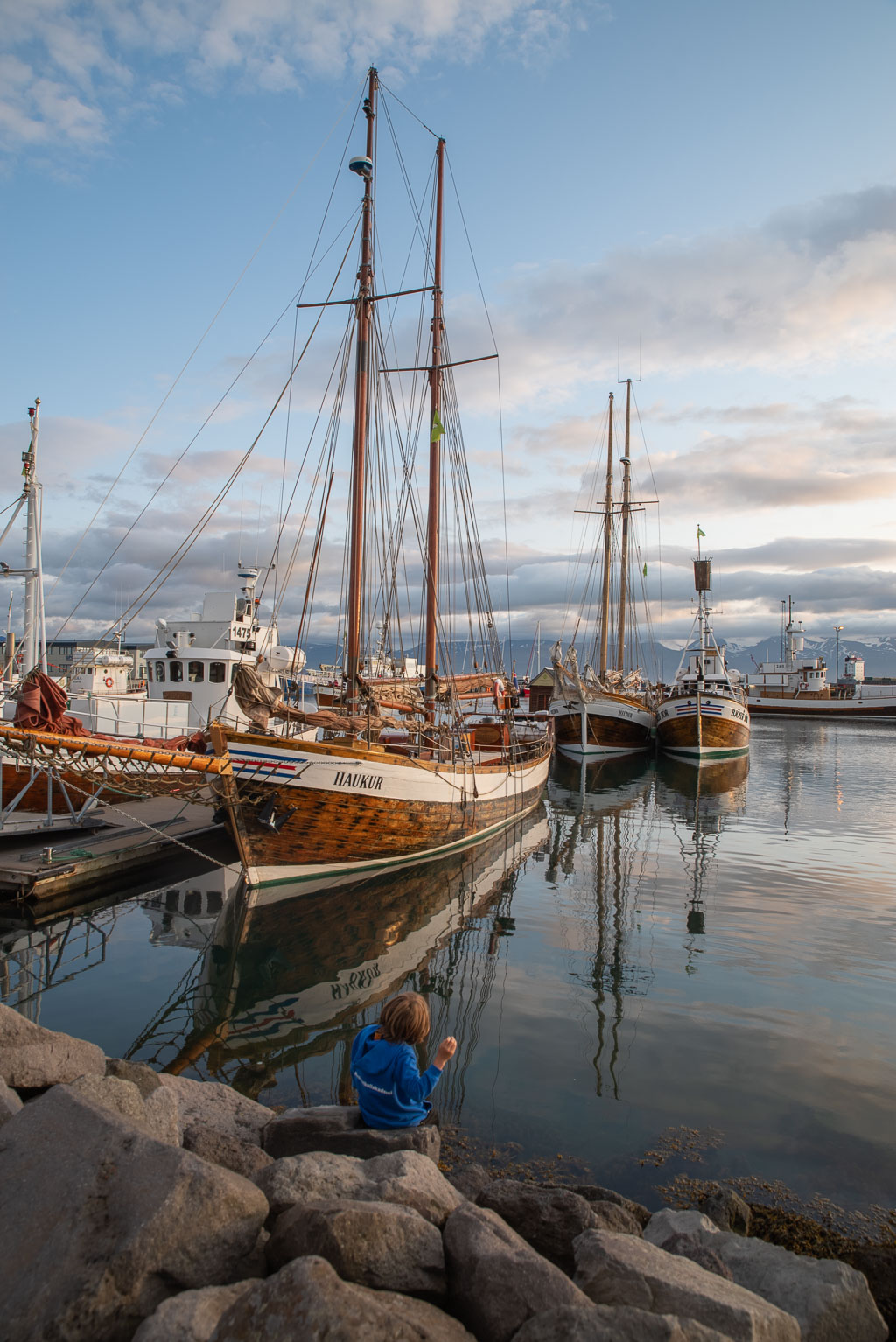 Pentax K-1 / 20 Pentax K-1   20