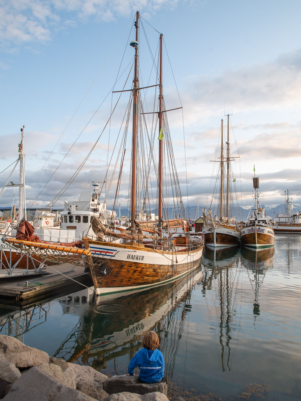 Pentax K-1 / 20 Pentax K-1   20