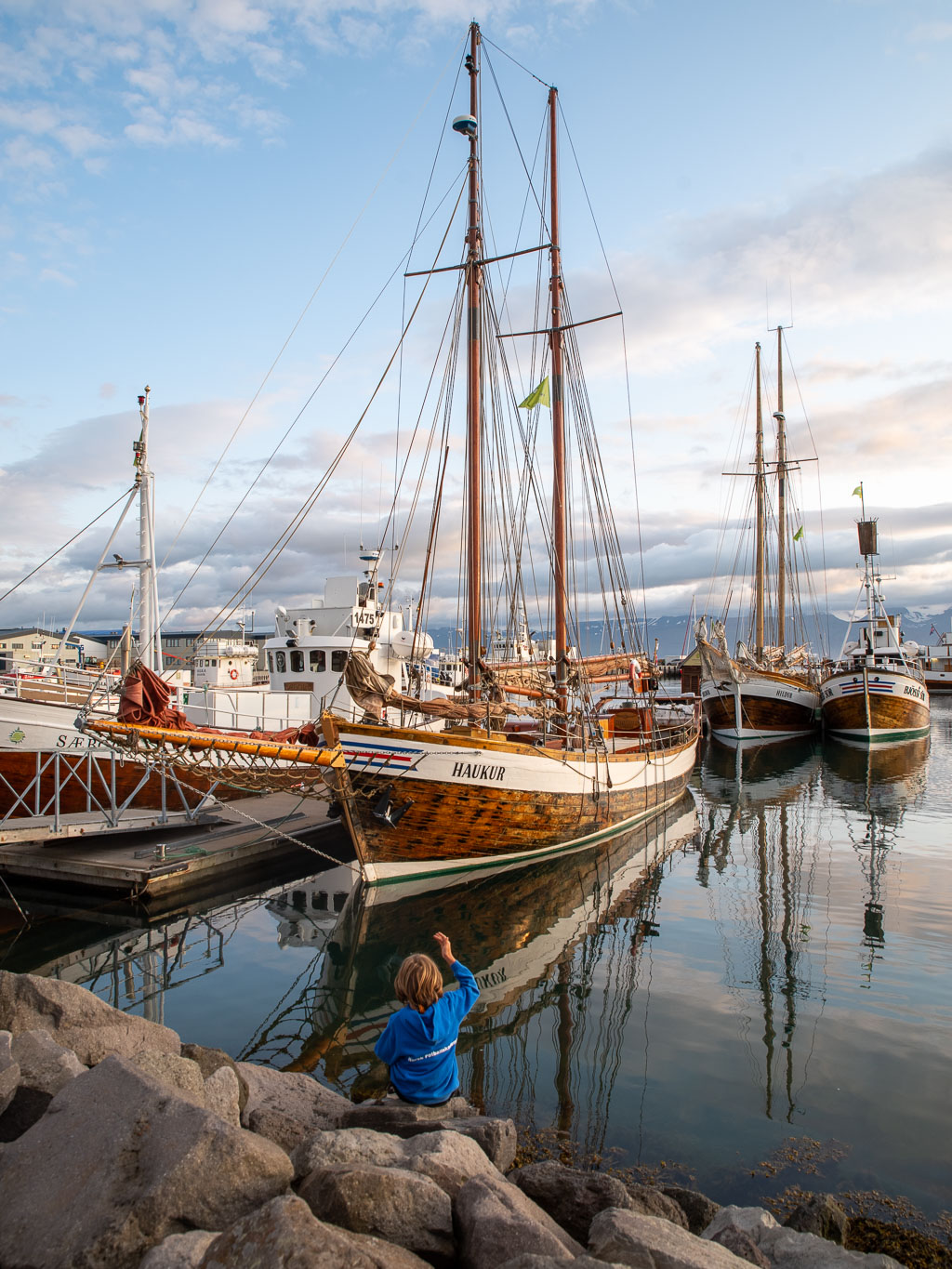 Pentax K-1 / 20 Pentax K-1   20