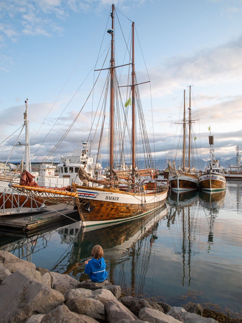 Pentax K-1 / 20 Pentax K-1   20