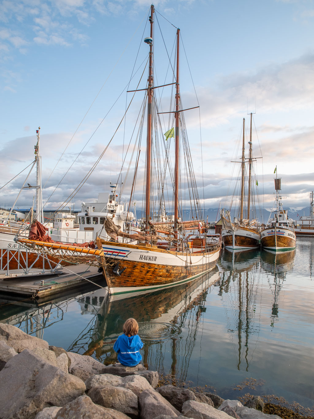 Pentax K-1 / 20 Pentax K-1   20