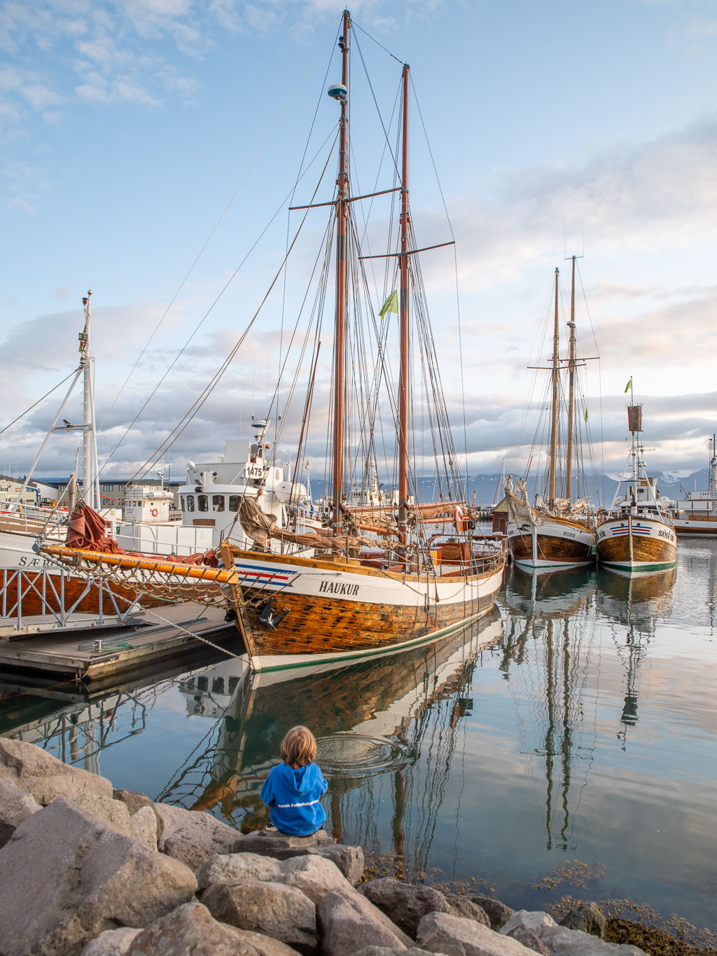 Pentax K-1 / 20 Pentax K-1   20