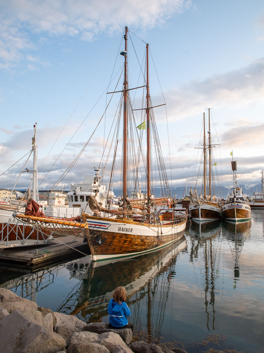 Pentax K-1 / 20 Pentax K-1   20