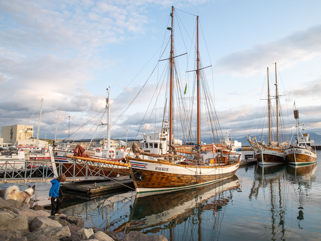 Pentax K-1 / 20 Pentax K-1   20