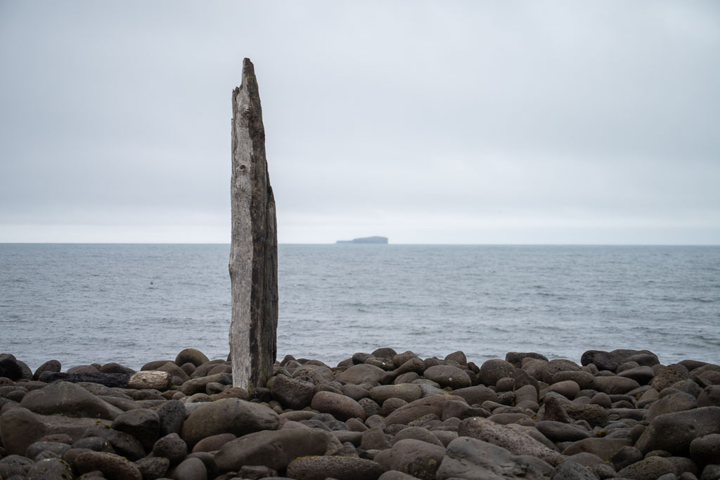 Pentax K-1 / 26 Pentax K-1   26