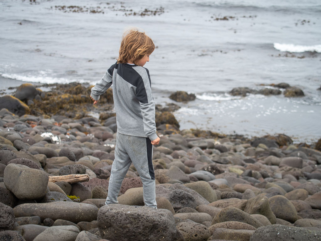 Pentax K-1 / 26 Pentax K-1   26