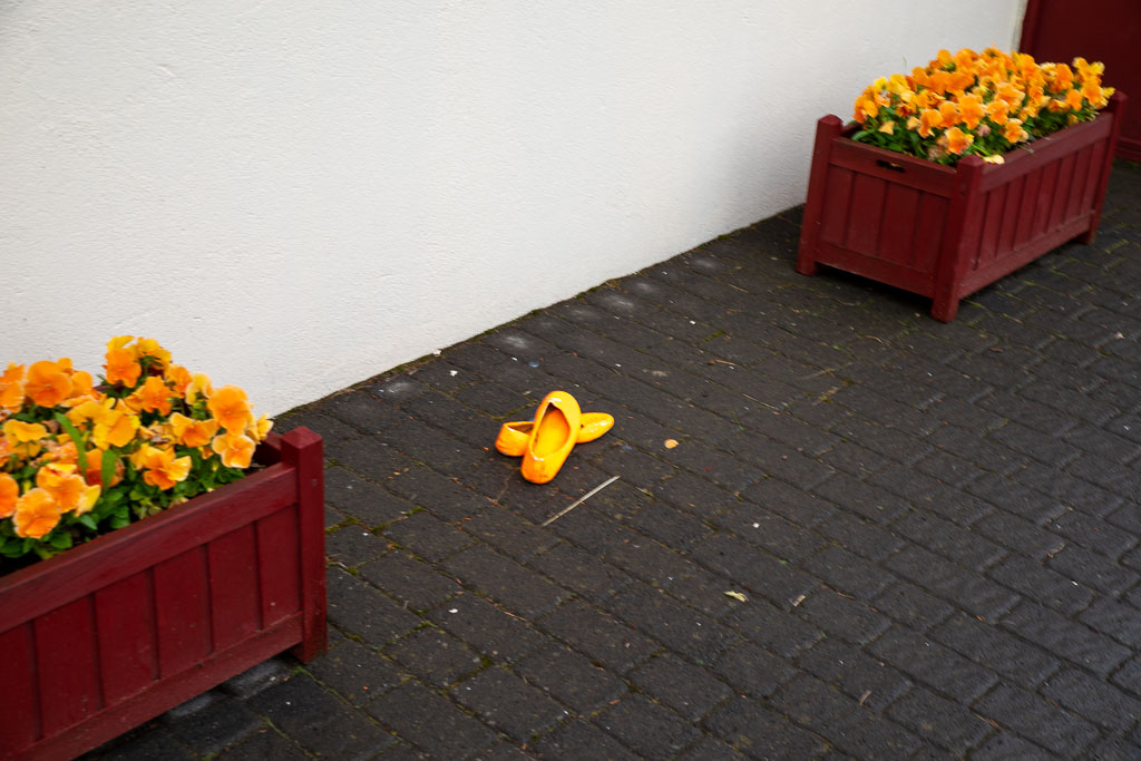 Pentax K-1 / 26 Pentax K-1   26