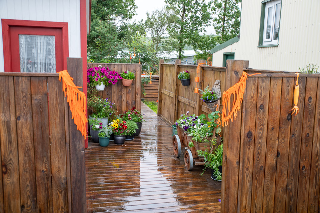 Pentax K-1 / 26 Pentax K-1   26