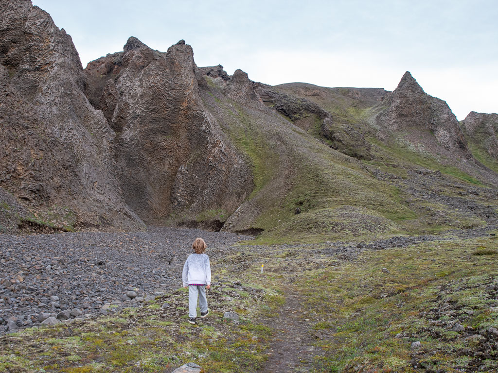 Pentax K-1 / 27 Pentax K-1   27