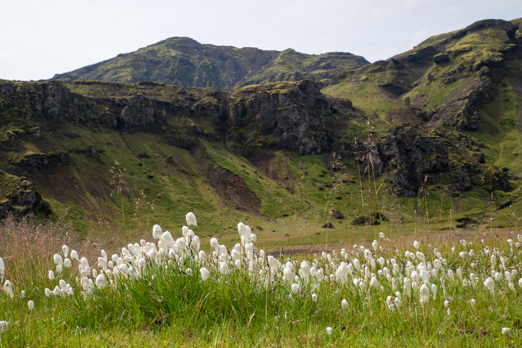 Pentax K-1 / 29 Pentax K-1   29