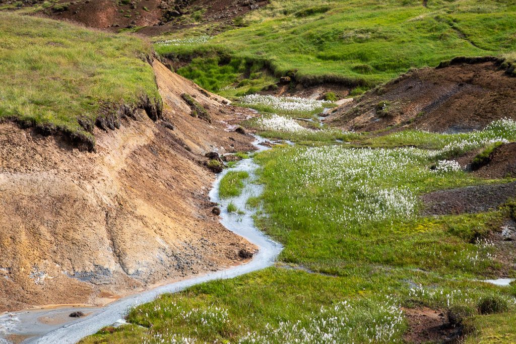 Pentax K-1 / 29 Pentax K-1   29