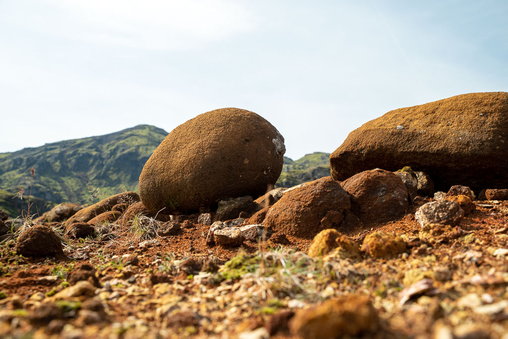 Pentax K-1 / 29 Pentax K-1   29